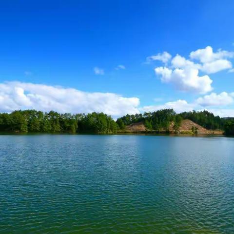 丁酉诗影【第26期】