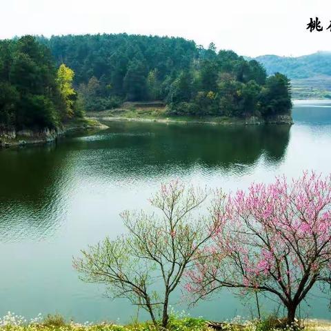 桃红柳绿三月天