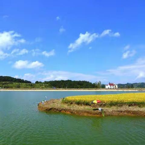 美篇诗词大会：黔上水韵