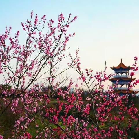 【寻找春天】黔上春色