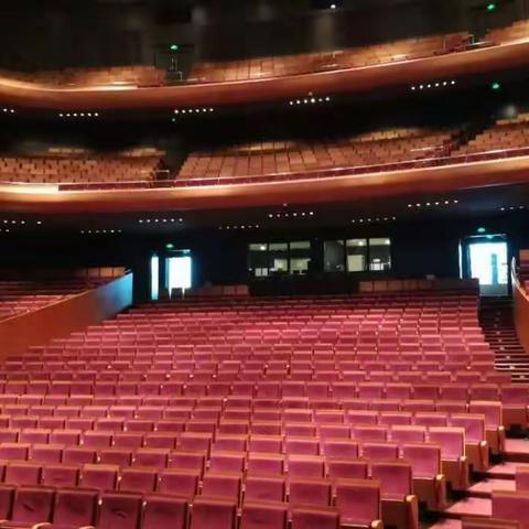 十全十美 静待花开——北师大青岛附校深圳戏剧研学行“我和戏剧有个约会”DAY10