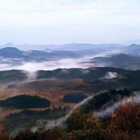 黎川县农村人居环境整治工作周报（12月第4周）