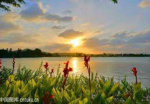 第一水乡周庄+非物质文化经典 苏州 二日游