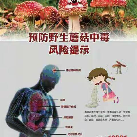 珍爱生命，拒绝毒蘑菇----草林中心小学安全知识温馨提示