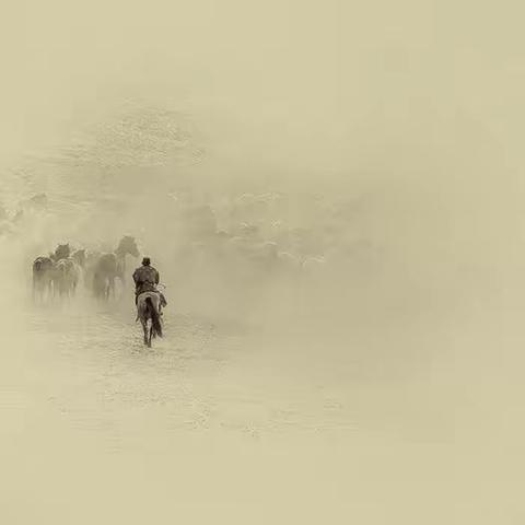 一样的风景  异样的风情  （马儿篇）