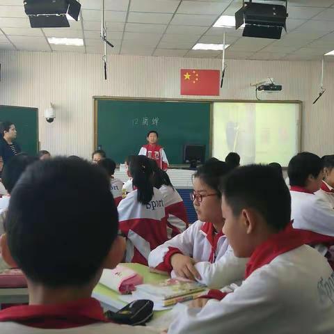 在行动中思考，在思考中行动        ——五年级组内研讨课掠影