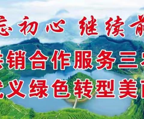 剿灭劣V类水攻坚战——让废弃农药包装物“回家”