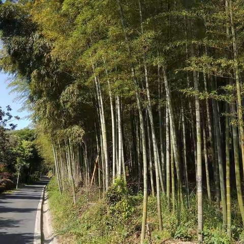 浪迹宜兴山水，让心灵放飞。