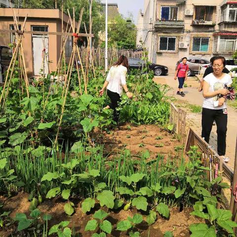 永安台街道迎宾社区党委开展禁种铲毒工作