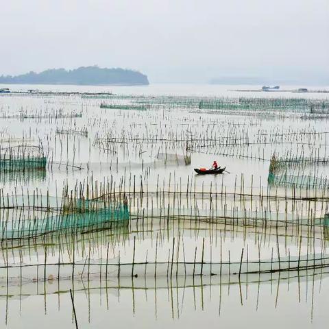 霞浦之行