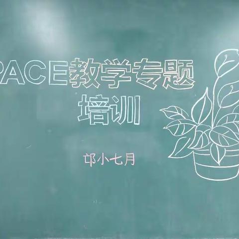 明晰体系，经验共享——西工区邙岭路小学PACE教学专题培训