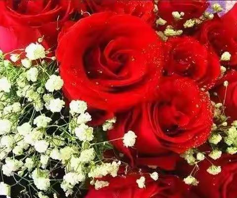 动图，送给大家