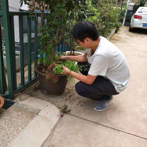 新学年新风貌，工作学习更高效——养白牛小学开学准备工作小纪