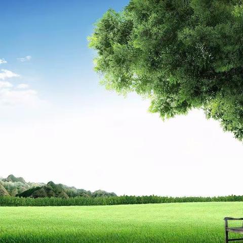 在平淡中诗意地生活