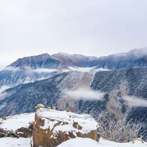 大雪纷飞一四姑娘