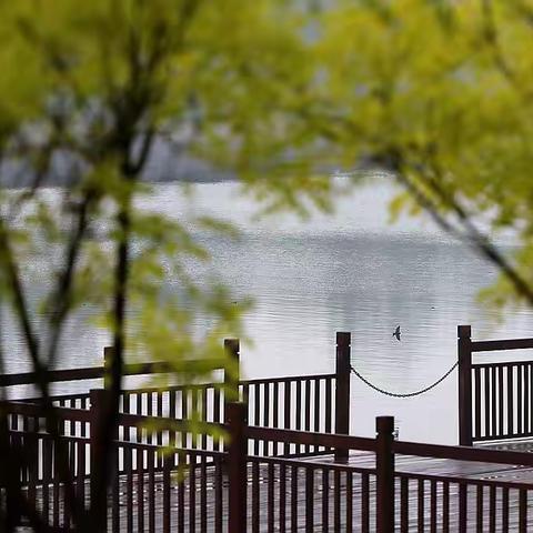 《雨润北运河》