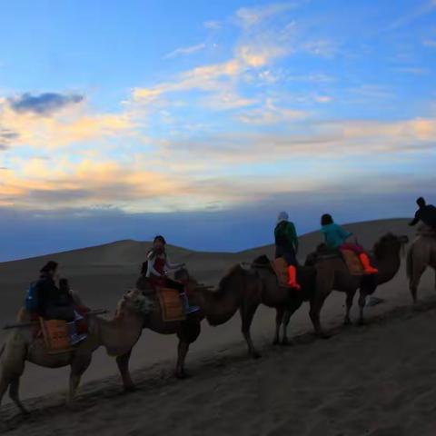 大漠驼影____甘肃鸣沙山游记