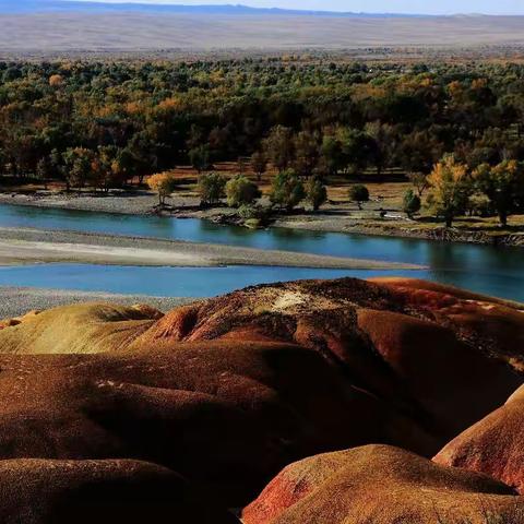 大美新疆任我行