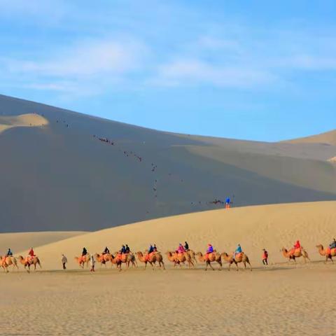 大漠驼影　　甘肃鸣沙山游记