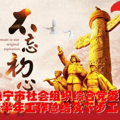 遂宁市社会组织综合委员会2018年上半年社会组织党建工作总结和下半年工作计划