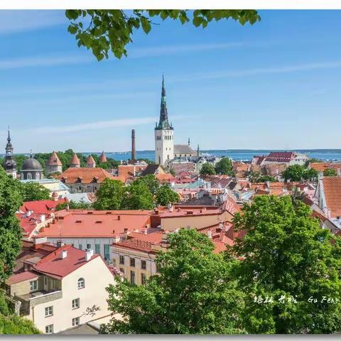 跟我一起波罗的海游 之十五 爱沙尼亚塔林