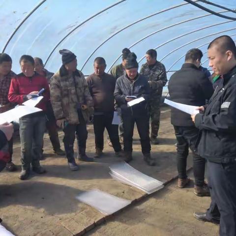 大兴九区开展立体式服务  助力春耕