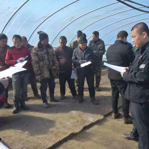 阳光明媚春意浓   正是繁忙好时光