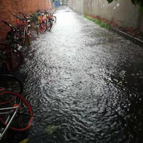 蓝色银沙   风雨一家