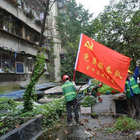 【党建引领】党员先锋解民忧 银沙路社区区域化党委在行动