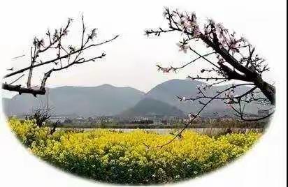《三月桃花开》