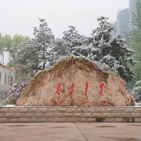 年年清明，今更清明——龙城飞雪