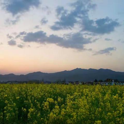 庆祝祖国70华诞 纪念知青下放50周年---相聚篇      文章：朱建国  拍摄：熊靓