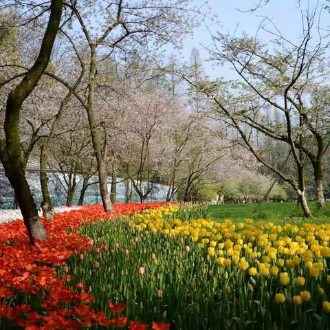 逐花江浙～浙江2019之杭州太子湾•西溪湿地•绍兴鲁迅故里•沈园•兰亭