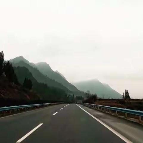 山有木兮    且苍茫    且骄阳