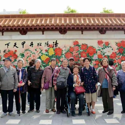 『云想衣裳花想容，春风拂槛露华浓。』——2017健康休养之河南传统文化之旅