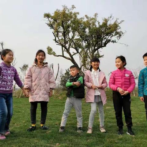 寄语春天，播种希望―002植树