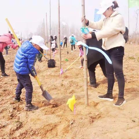 建国70周年我为祖国母亲献绿化阳光行活动剪影