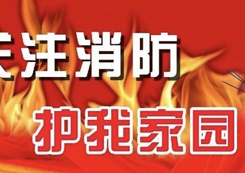 主题党日：强化意识，安全至上——消防安全知识专题讲座