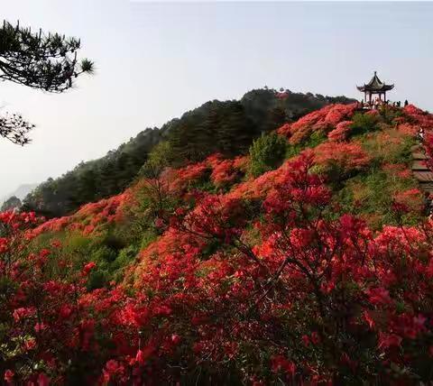 情系老教师 问候暖人心 ——南丰县实验小学领导看望慰问退休老教师