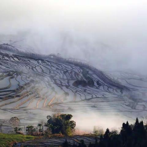 云海水墨——云南红河梯田