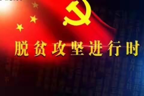 枫岭头镇脱贫攻坚问题整治情况报告