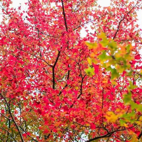 2017.12.03徒步大化山