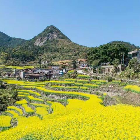 双溪野炊赏花行