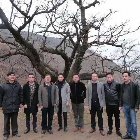 碑林区组织旅行社考察阿氏村旅游观光项目