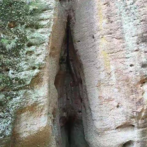 艺术