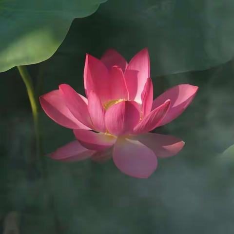 相识四十年  相聚在吕梁