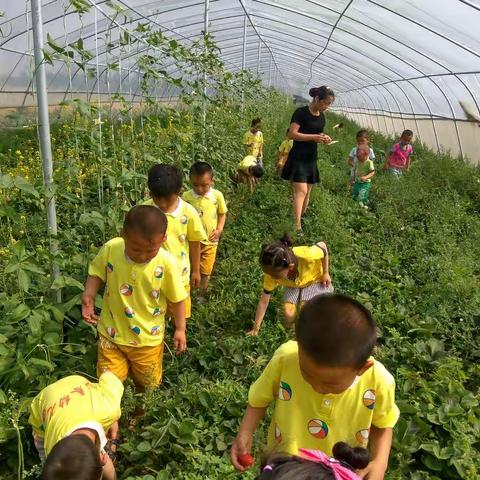 韩春幼儿园活动宣传月总结