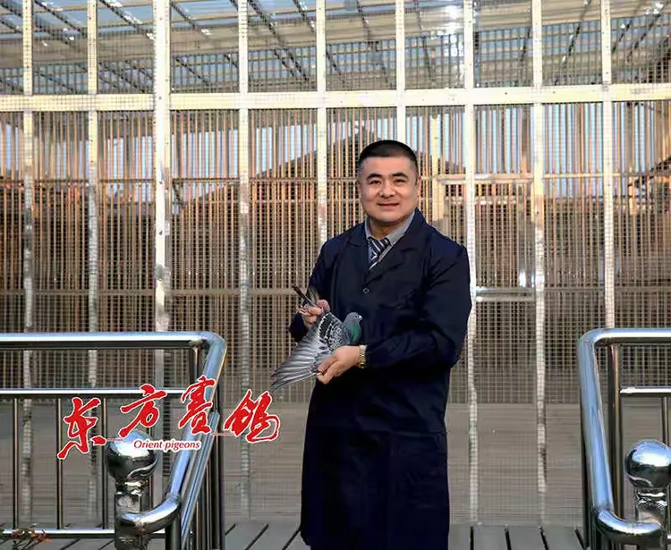 访北京开创铁鹰四关冠军极速鸽舍陈仕义