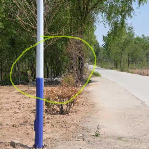 杏元管区环境卫生问题包