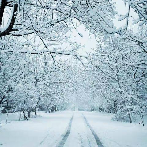 骖騑集之2017雪泥鸿爪